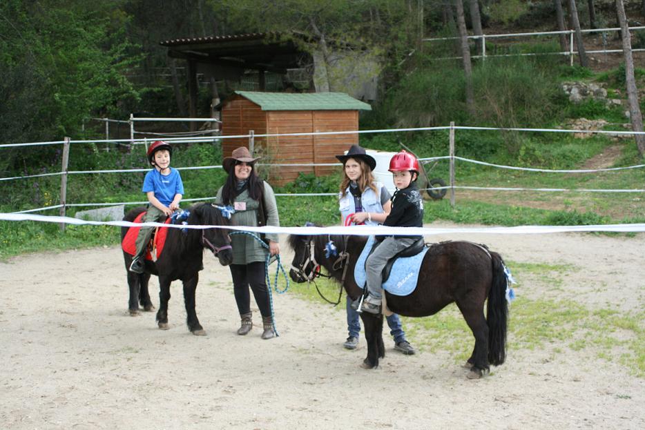 enfant  2 poneys  3