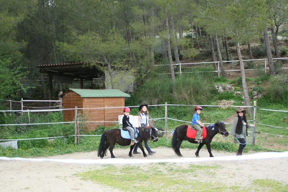 enfant  2 poneys  2